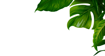 price-list-content-image